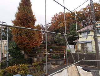 c0039501_171651.jpg