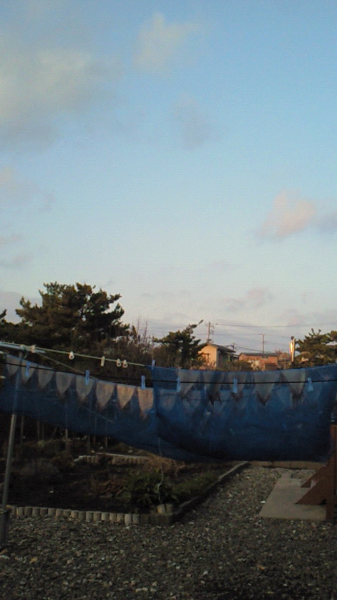 d0149105_813948.jpg
