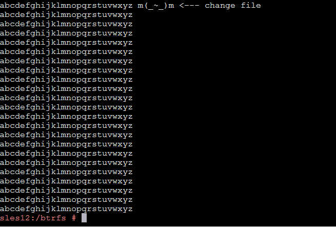 SLES12が採用した btrfs, snapper を使った Snap Shot_a0056607_21313426.jpg