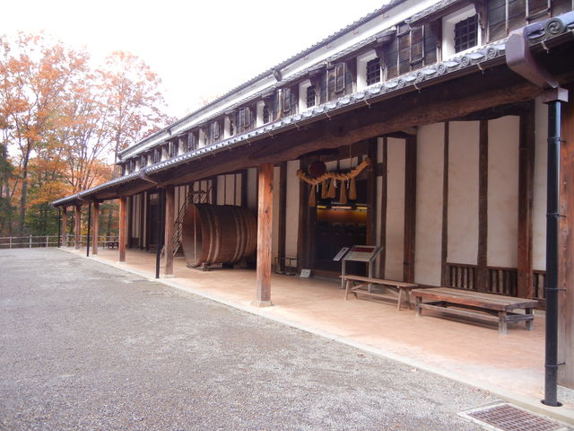 a0210108_20214259.jpg