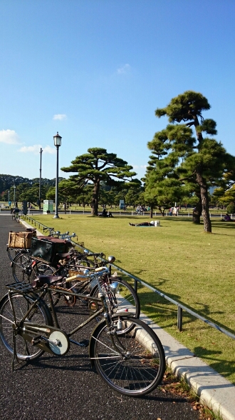 a0228408_912727.jpg