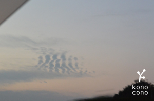 f0321908_11391379.jpg