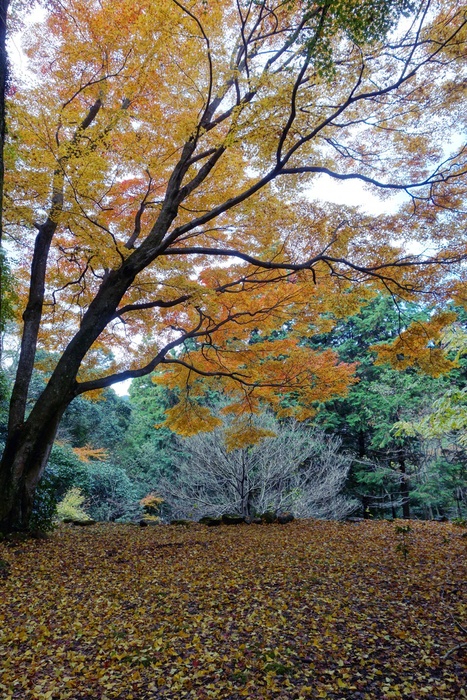 国東半島芸術祭―明後日まで―_d0116009_13423344.jpg