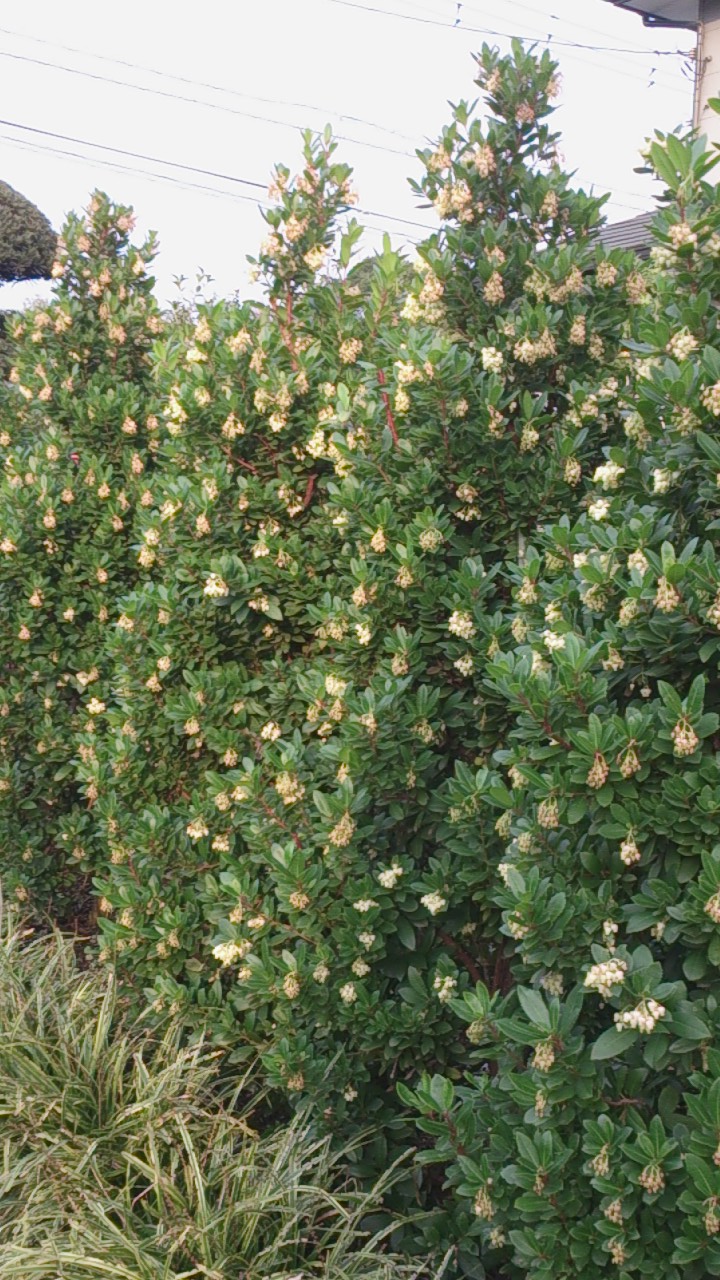 e0202111_21183130.jpg