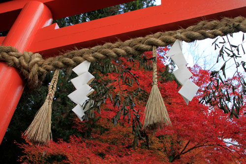 14紅葉めぐり 47 太田神社とあぜくら_e0048413_2138395.jpg
