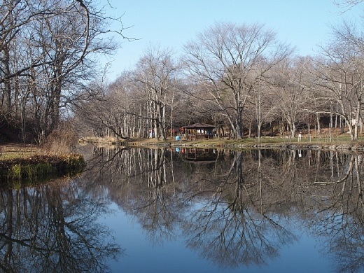 e0062415_19432338.jpg