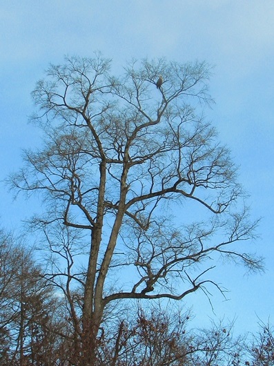 e0062415_1943445.jpg