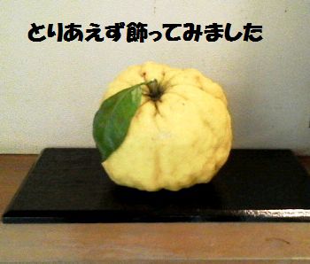 かっぱ父の愛の鬼柚子_e0234016_16473195.jpg