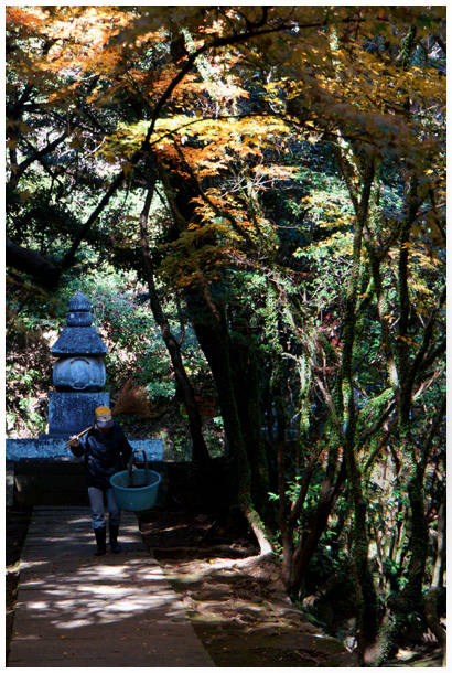 泰勝寺跡_b0037717_1494029.jpg