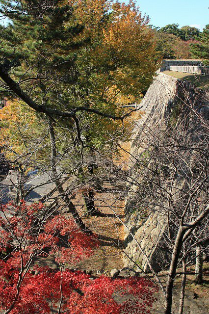 松阪城跡の石垣と紅葉風景　（その1）_e0321325_14504317.jpg