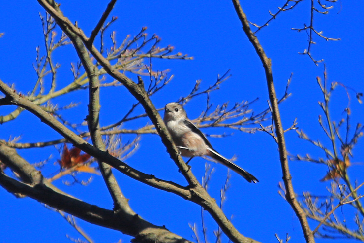 c0104227_9172913.jpg