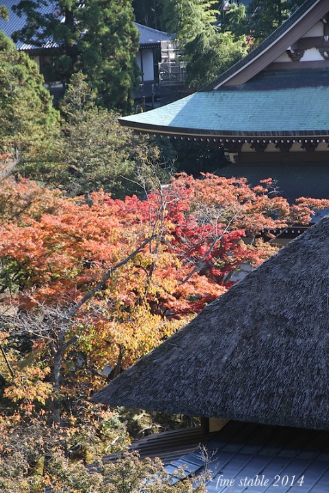 c0240132_65255.jpg