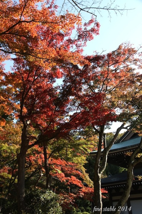 c0240132_66583.jpg