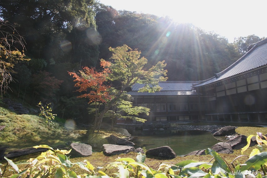 c0240132_67563.jpg