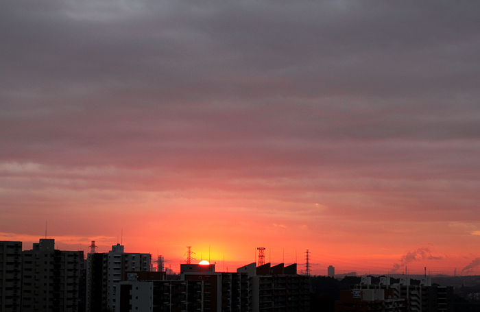Morning Sun_b0049843_831469.jpg