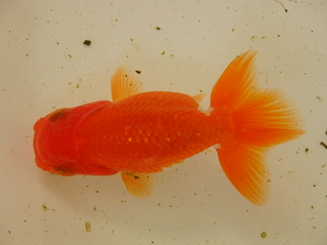 f0334143_93473.jpg