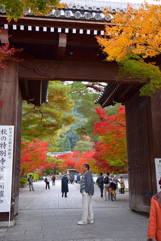 全国的に有名な京都の紅葉名所『永観堂』20141119_e0237645_0271757.jpg