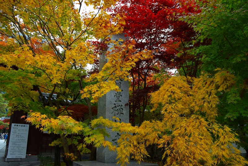 全国的に有名な京都の紅葉名所『永観堂』20141119_e0237645_0273232.jpg