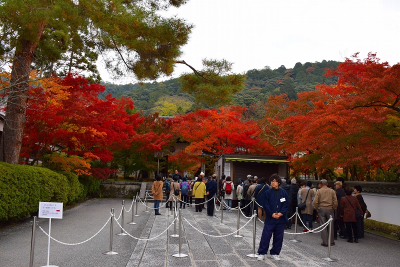 全国的に有名な京都の紅葉名所『永観堂』20141119_e0237645_0274540.jpg