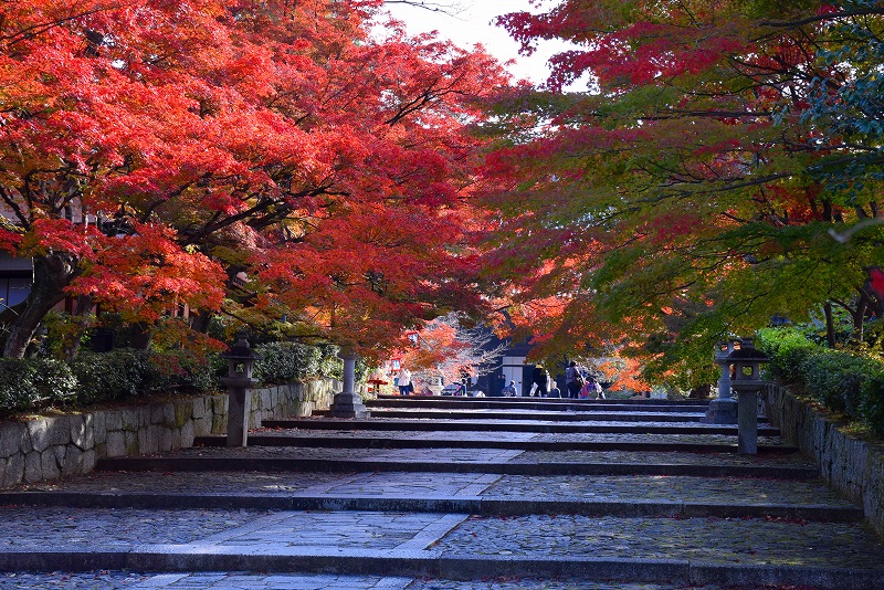 売出し中の紅葉の穴場、京都『真如堂』20141119_e0237645_045274.jpg