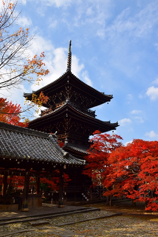 売出し中の紅葉の穴場、京都『真如堂』20141119_e0237645_0475175.jpg