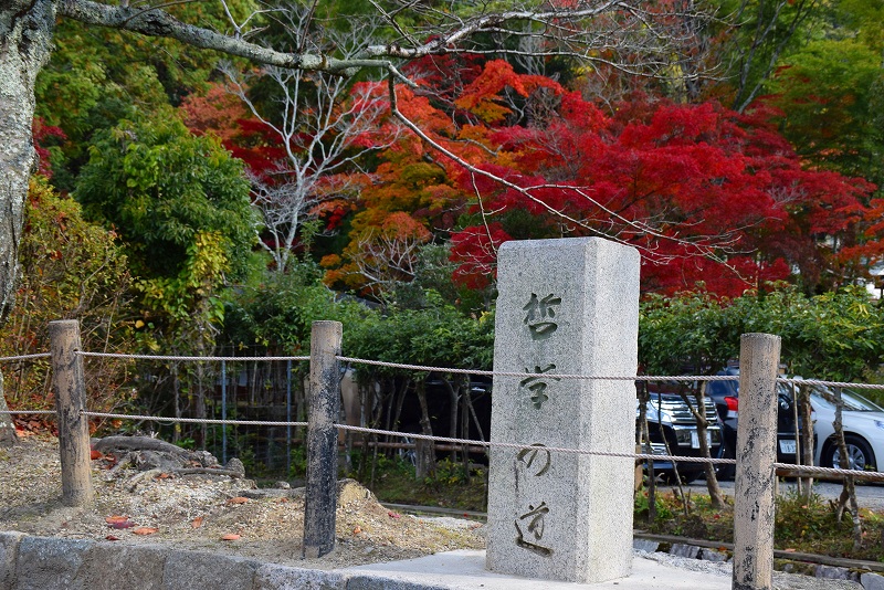 秋も美しい京都『哲学の道』の紅葉20141119_e0237645_13365845.jpg