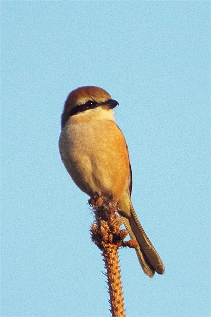 f0214649_31275.jpg