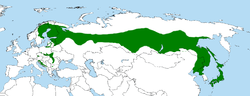 d0218056_955591.png