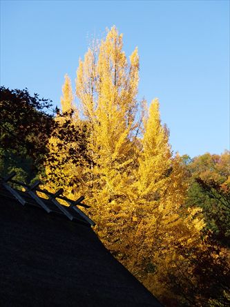 e0044657_22103655.jpg