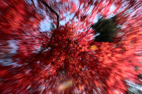 a0248459_19160537.jpg