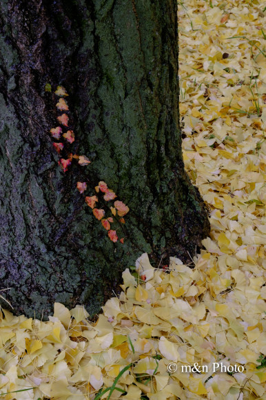e0321360_00055748.jpg