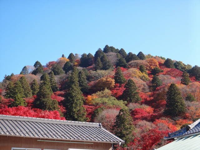 c0155364_37223.jpg