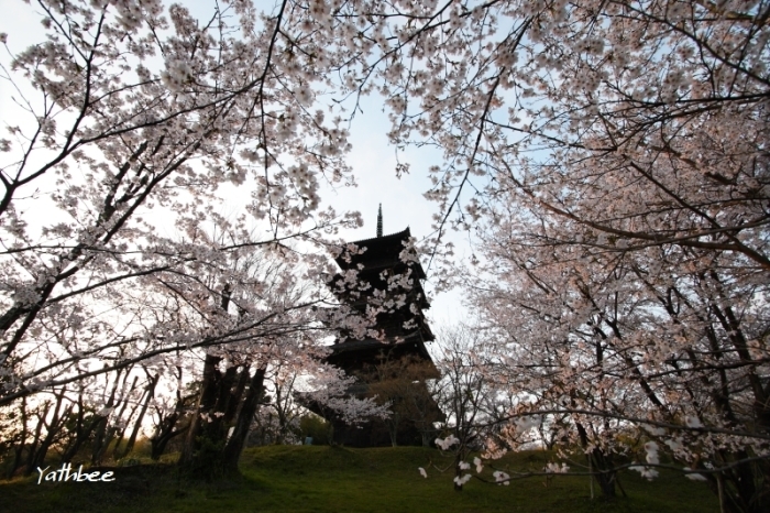 c0330365_19154909.jpg