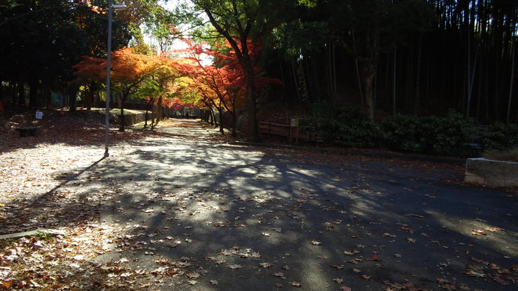 b0300769_03074.jpg