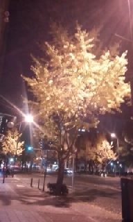 f0200871_004286.jpg