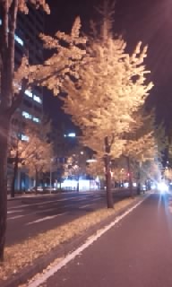 f0200871_004340.jpg