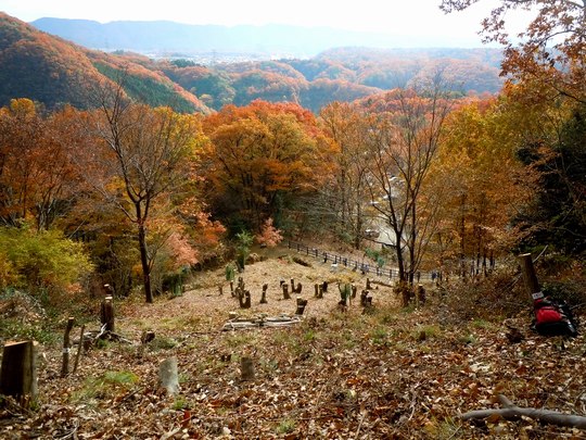 里山の新たなる1ページが始まる_b0102572_1455849.jpg