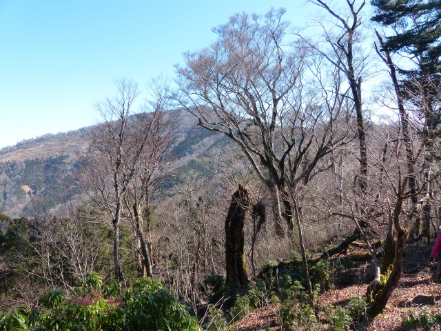 茶臼山、上福根山_f0357487_2245737.jpg