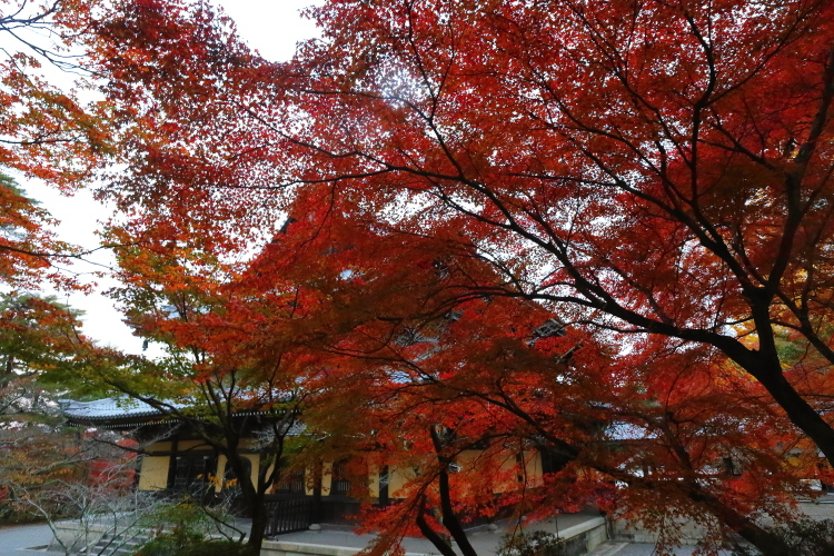 南禅寺_e0051888_4452160.jpg