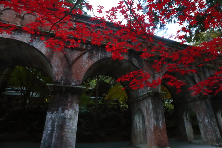 南禅寺_e0051888_4453751.jpg
