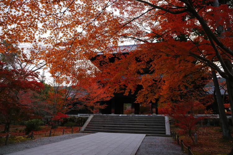 南禅寺_e0051888_4455048.jpg