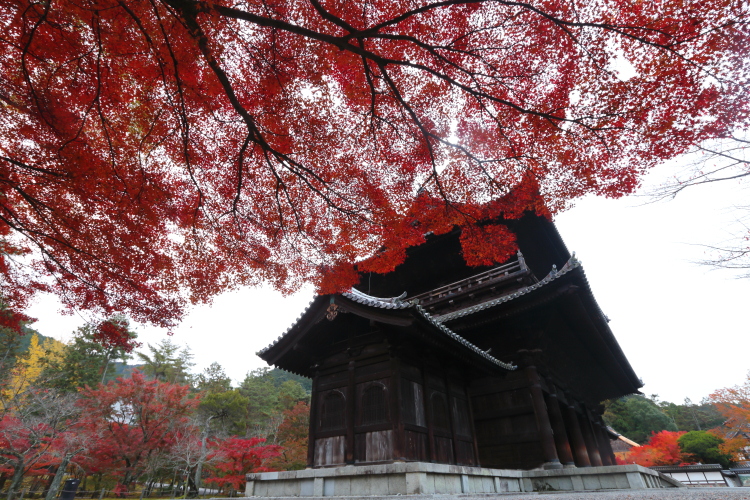 南禅寺_e0051888_446319.jpg