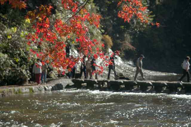 e0305388_09235794.jpg