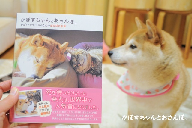 写真集「かぼすちゃんとおさんぽ。」本日発売です！_a0126590_00333707.jpg