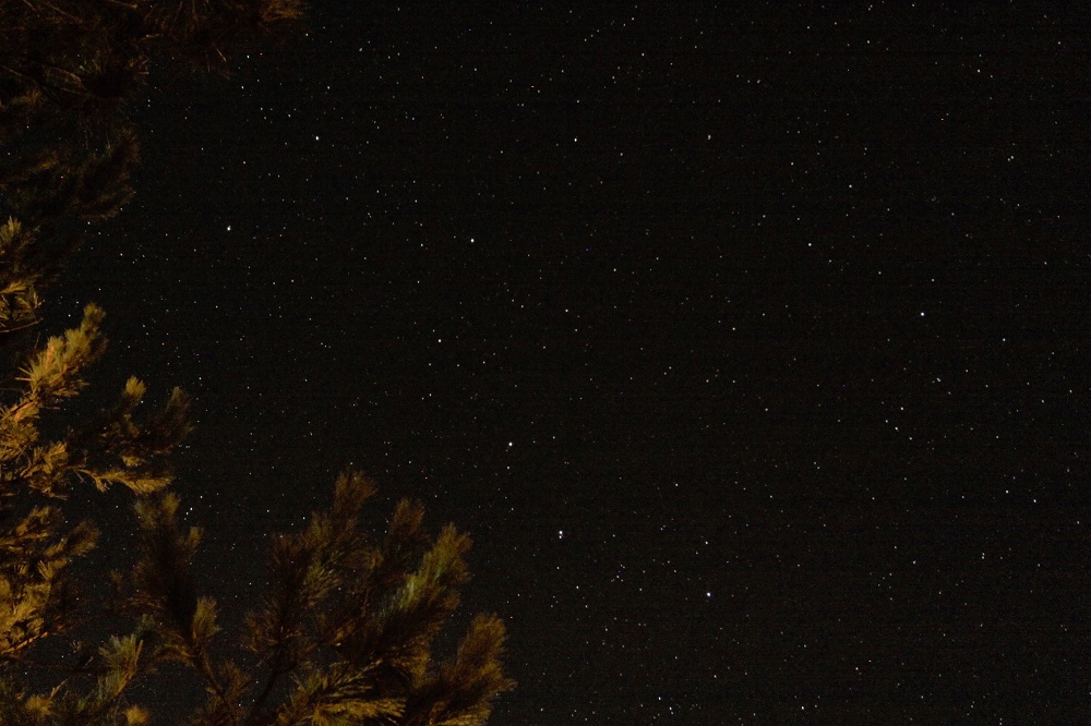 c0347492_12192336.jpg