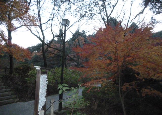 f0166694_1942621.jpg