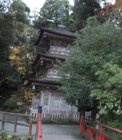 f0166694_1994135.jpg