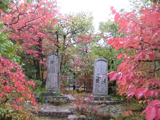 鷹峯の紅葉　2014_f0010195_215398.jpg