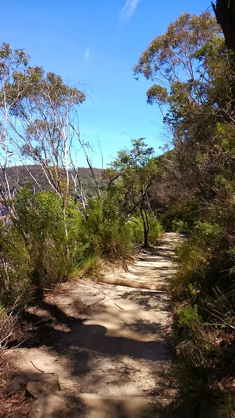 a0224502_20111714.jpg