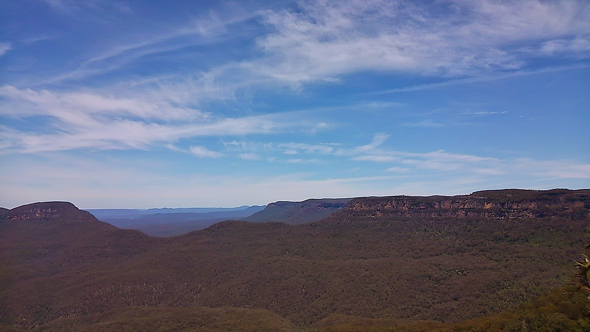 a0224502_2012599.jpg
